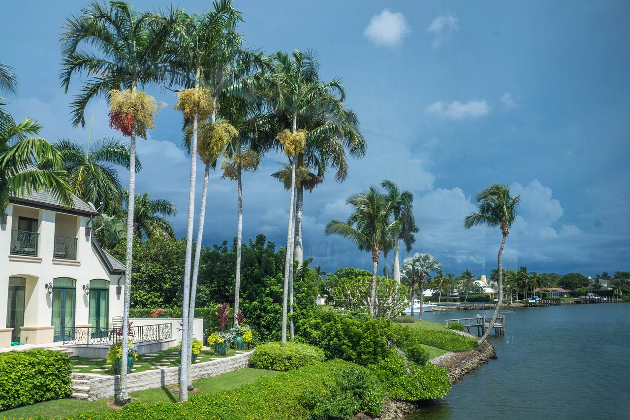 house, palms, architecture-407954.jpg